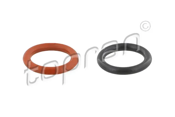 Conta, yakıt filtresi