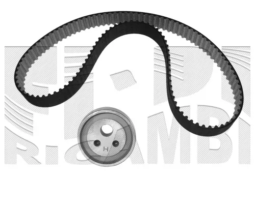 Triger kayışı seti