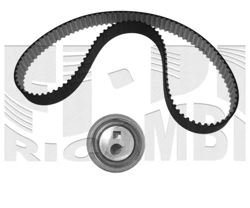 Triger kayışı seti