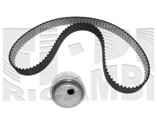 Triger kayışı seti