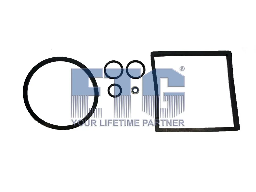 Conta, yakıt filtresi